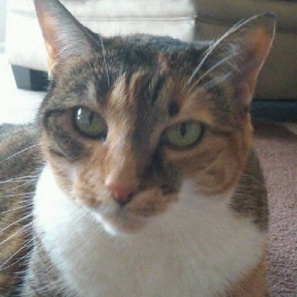 Meet your Posher, Stacey